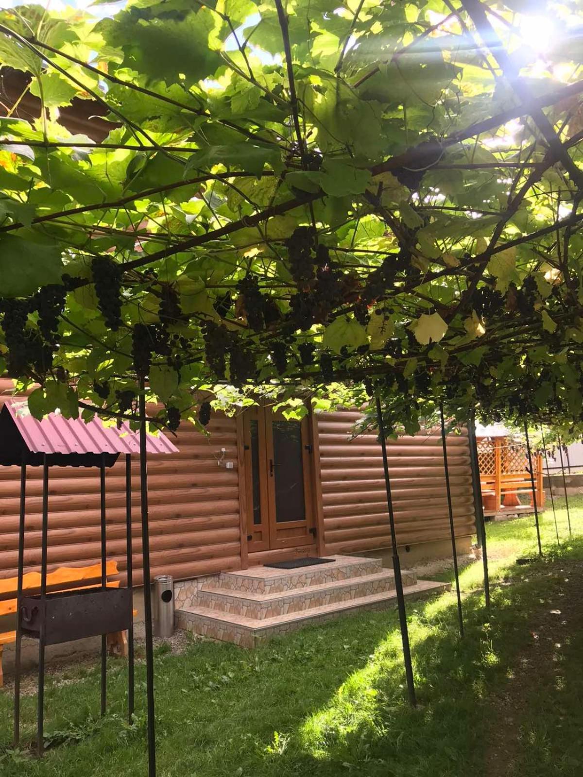 Базилік Hotel Yaremche Exterior photo