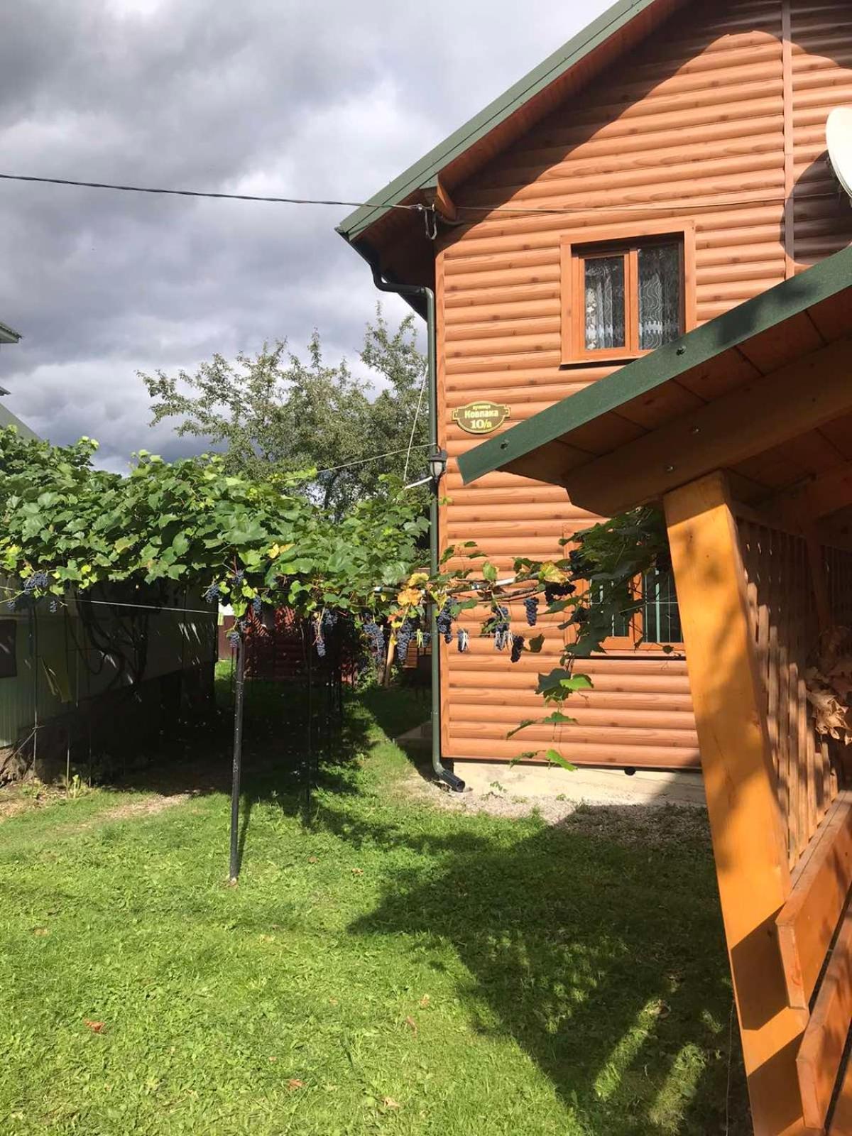 Базилік Hotel Yaremche Exterior photo