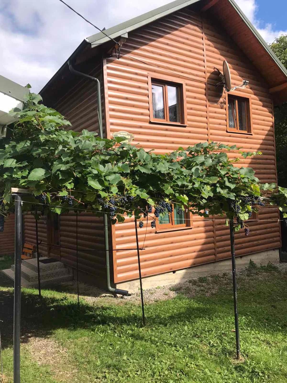 Базилік Hotel Yaremche Exterior photo